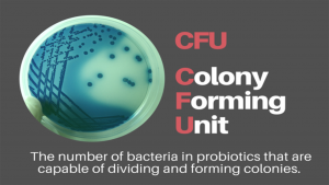 Đơn vị CFU trong kiểm nghiệm vi sinh | Công thức tính CFU