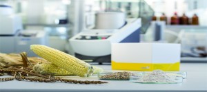 6 thách thức lớn nhất trong phân tích độc tố nấm...