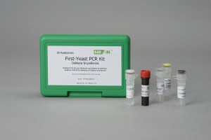 GEN-IAL® QuickGEN First-Yeast PCR Kit Dekkera bruxellensis