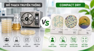So sánh Compact Dry và phương pháp đổ thạch truyền...