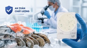 Kiểm nghiệm vi sinh trong ngành thủy sản xuất khẩu