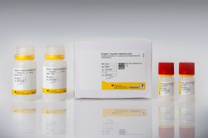 Kit kiểm tra Axit Glutamic trong thực phẩm | Enzytec™ Liquid L-Glutamic acid E8530