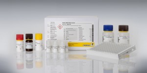 Test kit ELISA kiểm tra nhanh Gluten | RIDASCREEN®EASY Gluten