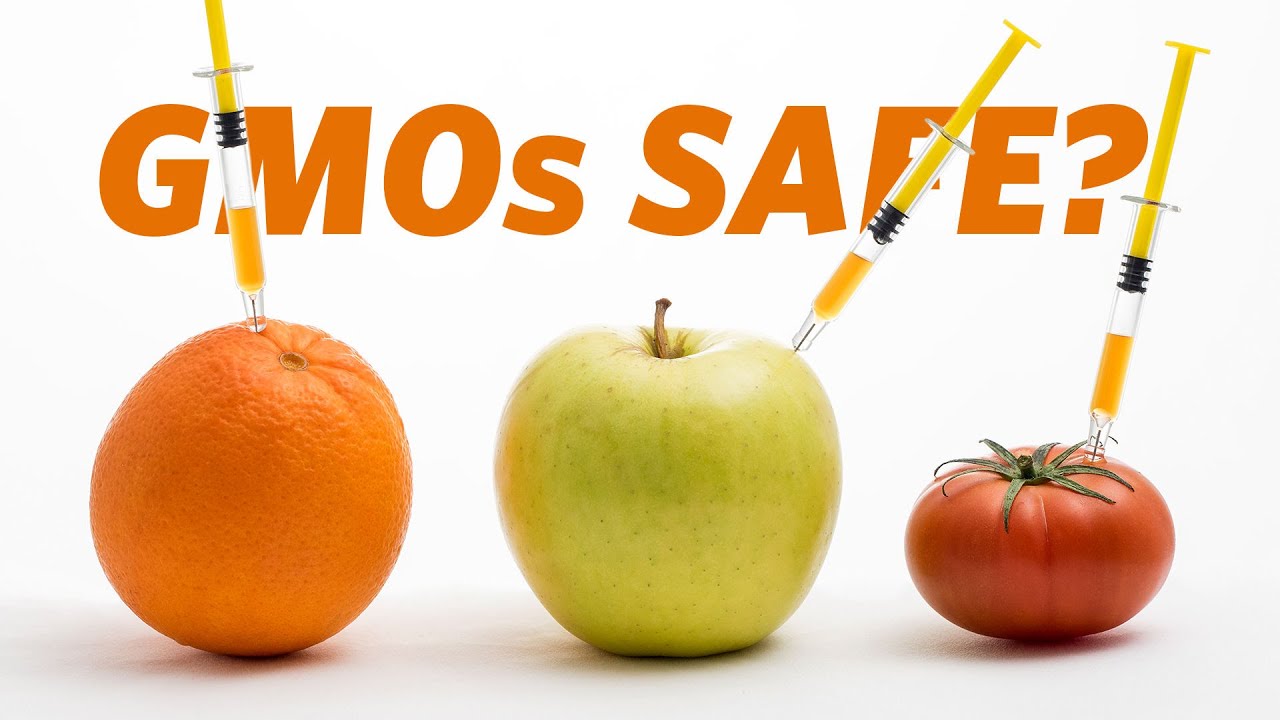 kiem tra bien doi gen GMO